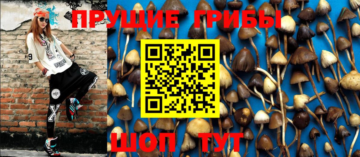 Ханты-Мансийск  Псилоцибиновые грибы Psilocybine cubensis  Вход с VPN 